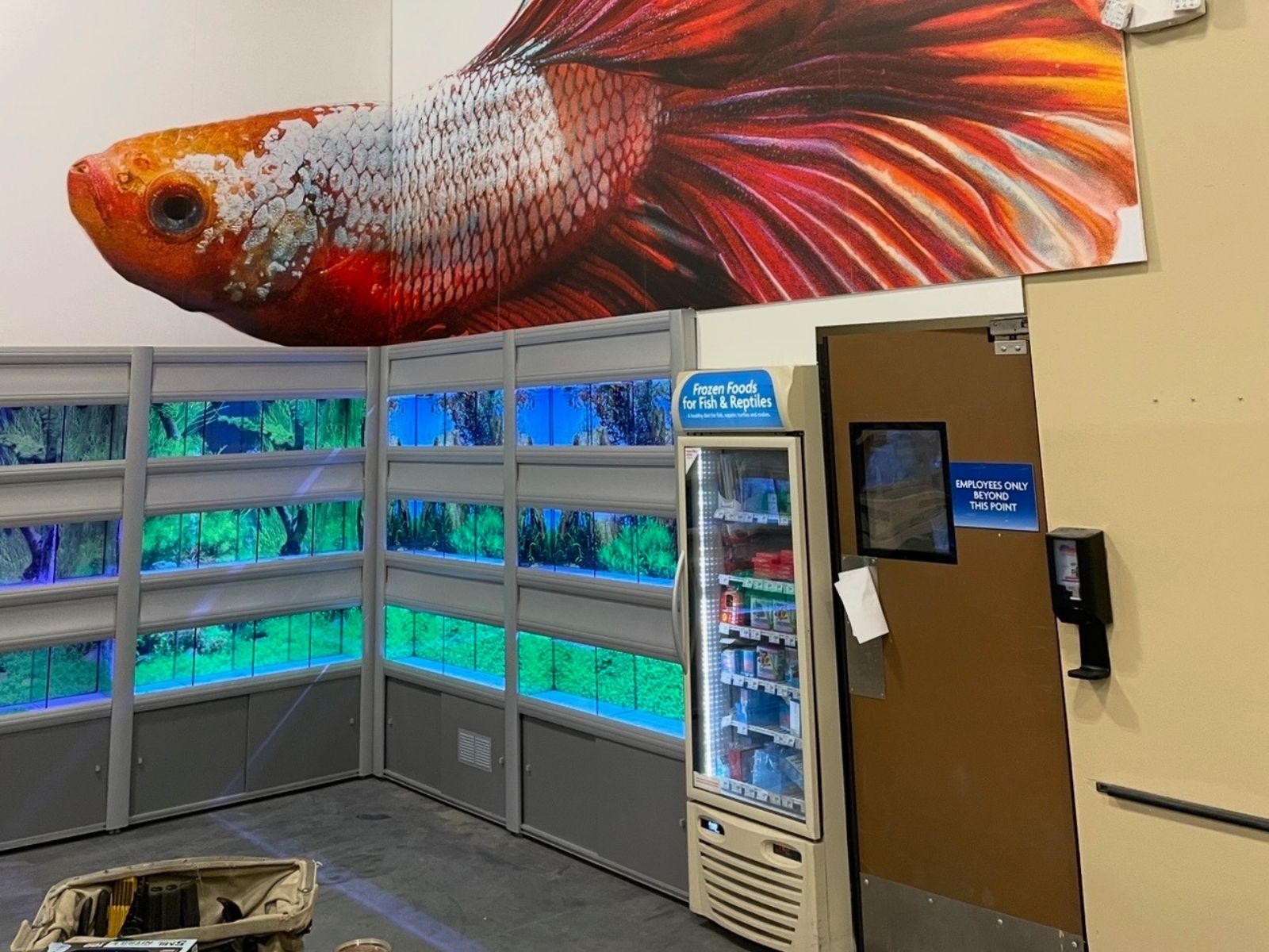 PetSmart Fish Tank Program &mdash; photo 5